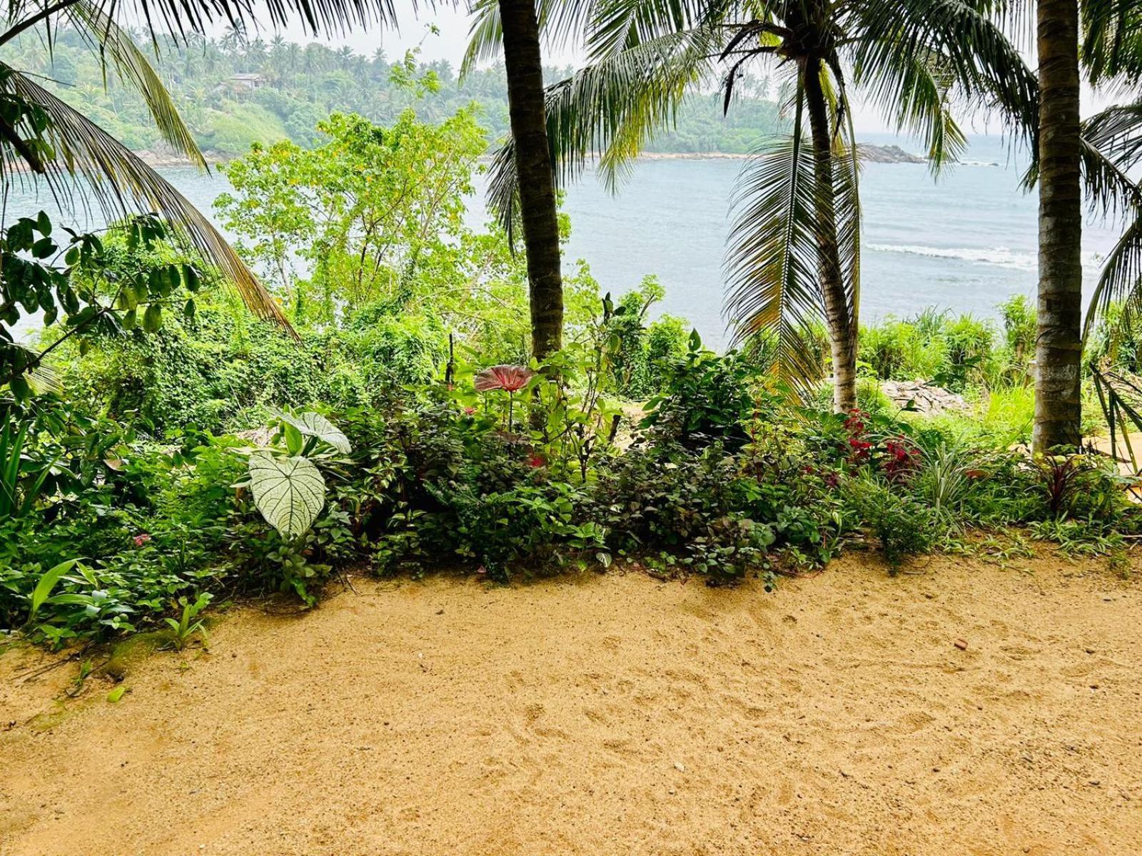 Surf Paradise Tangalle Exterior foto