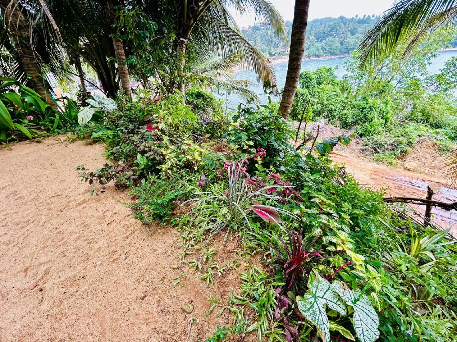 Surf Paradise Tangalle Exterior foto